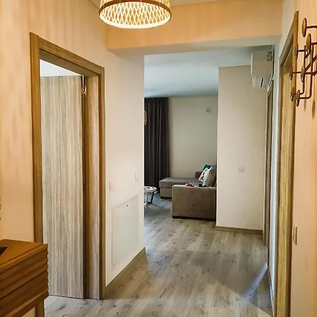 Elite 4b 波尔蒂芒